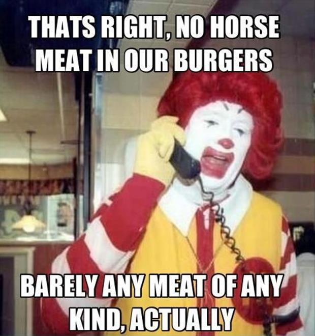 No horse meat
