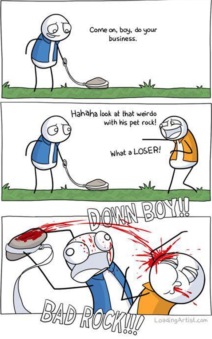 I had a pet rock