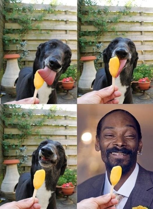 Snoop Dogg Like