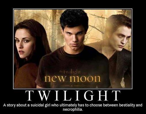 What Twilight is really about