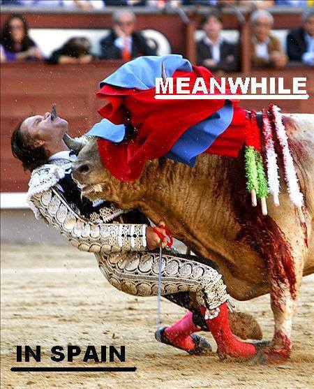 When the bull wins