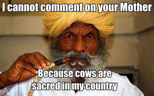 Cow are sacred