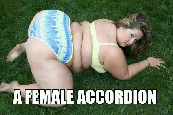 A female accordion