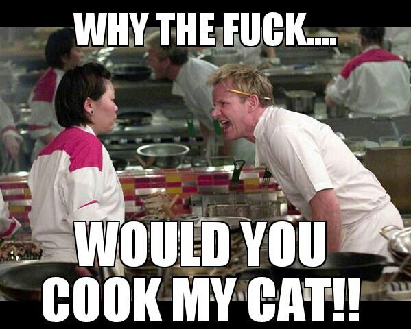 Cooked Ramsay's cat