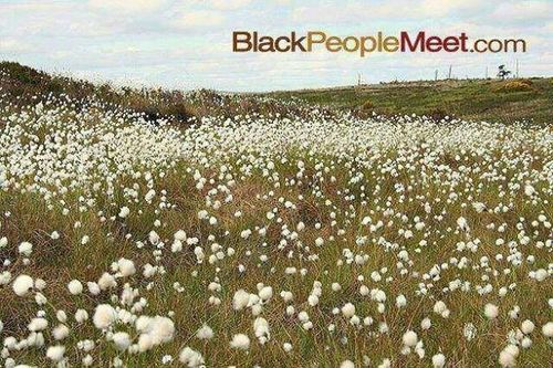 Meeting in the fields