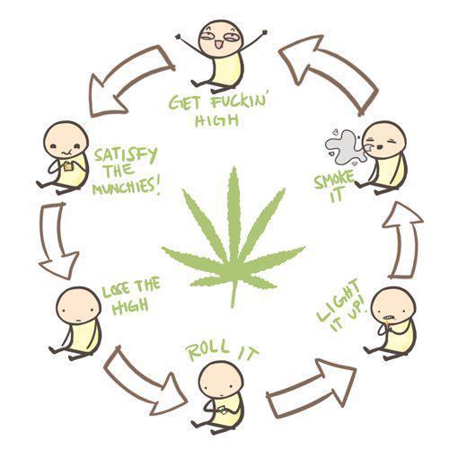 the weed circle