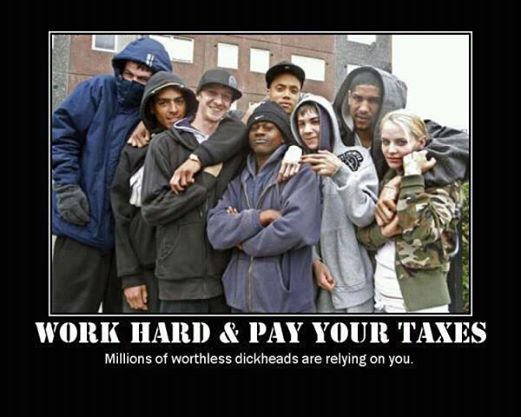 Work hard and pay your taxes humor