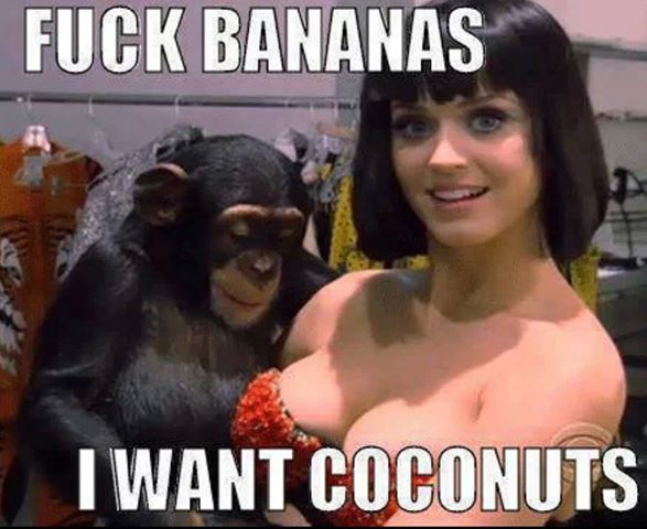 Go for the coconuts