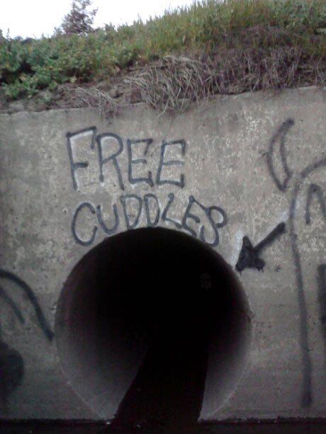 Get your free cuddles