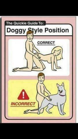 A quick guide to Doggy