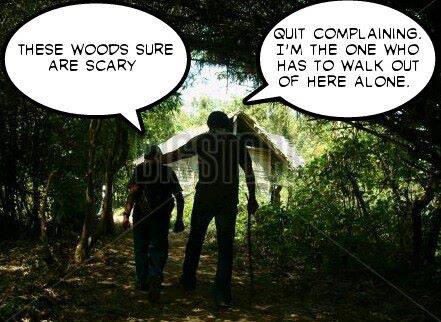 A walk in the woods