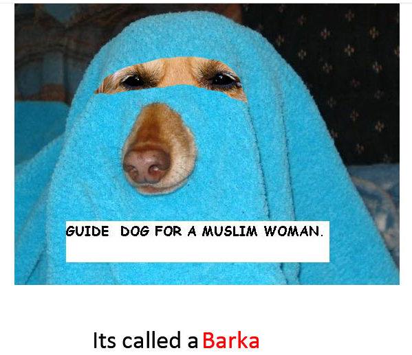 Guide dog for islamic women