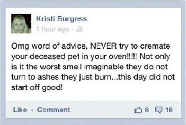 Never cremate pets in ovens