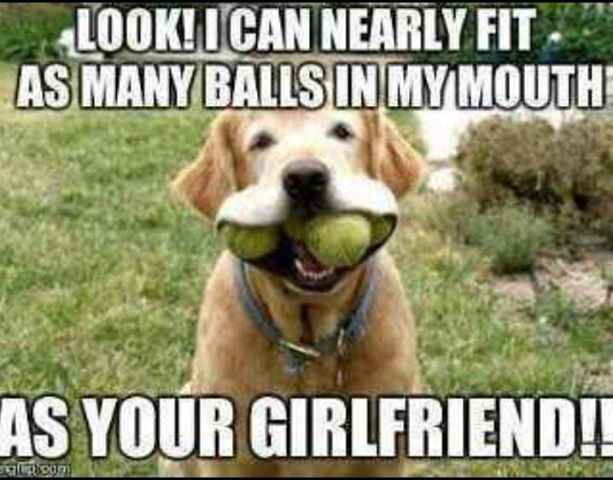 As many balls as your gf