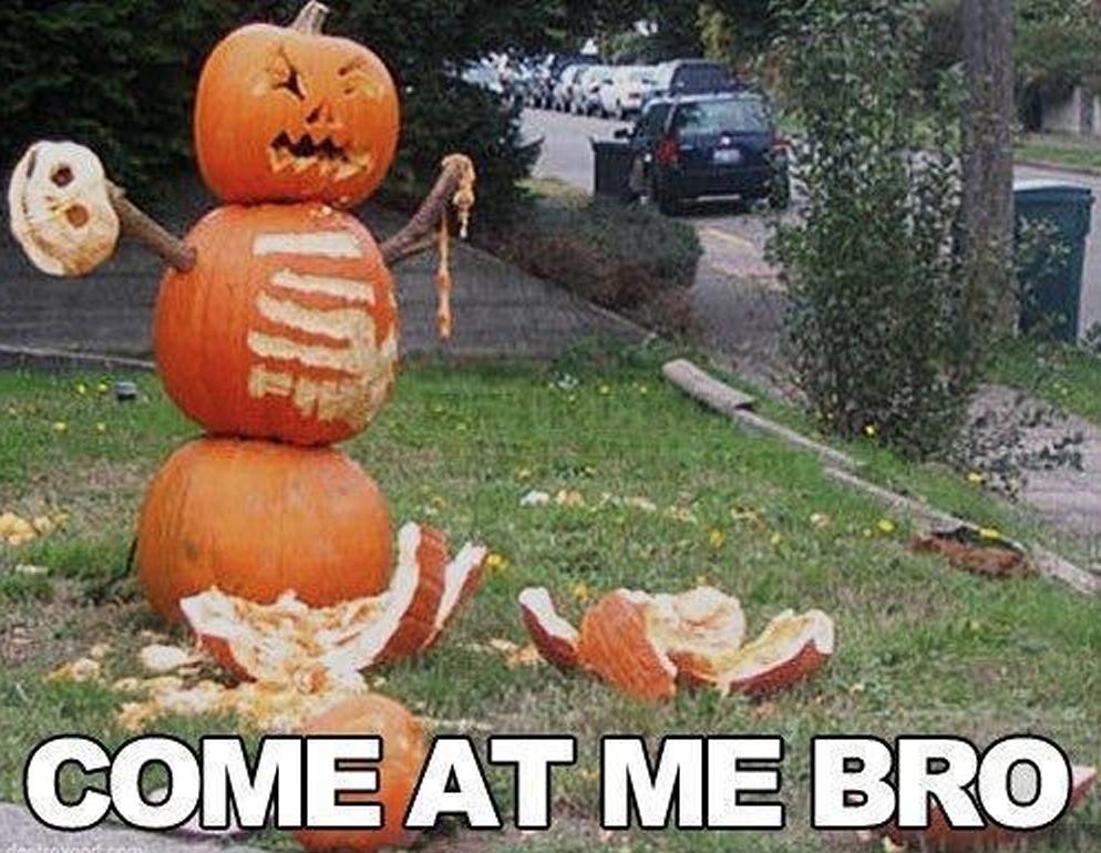 pumpkin man come at me bro
