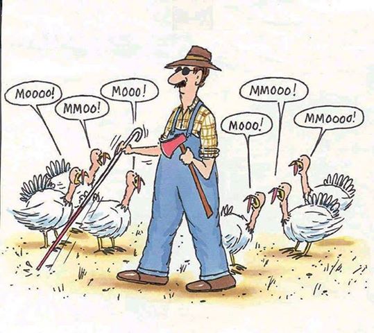 Turkeys and a blind farmer