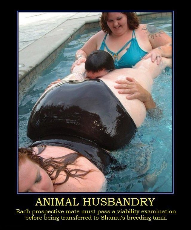Animal husbandry fat whale