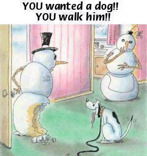 Frosty walking the dog
