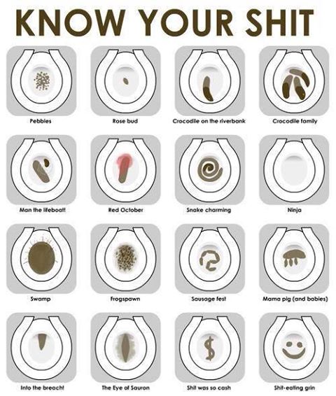 Know your shit