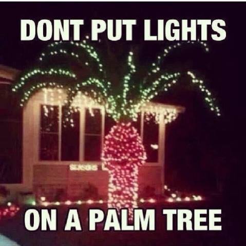 Why you don't put lights on a palm tree