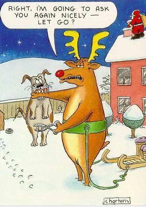 Rudolph squares off against Fido