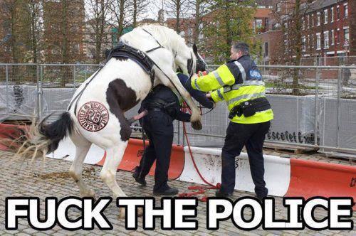 Horse riding cop