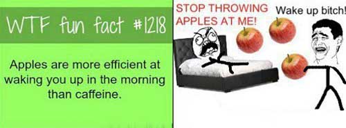 Fun fact about apples