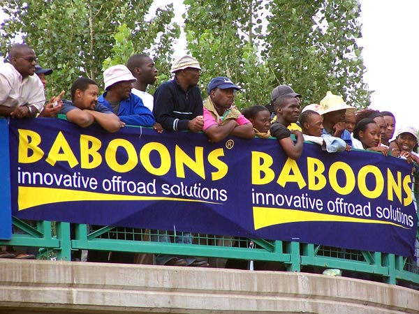 Baboons...