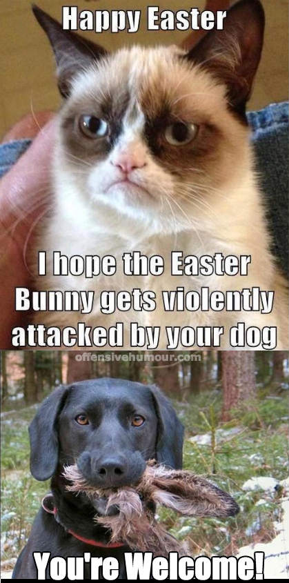 Grumpy Kitty gets what it wants