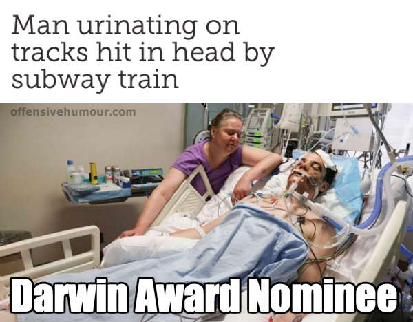 Darwin awards nominee