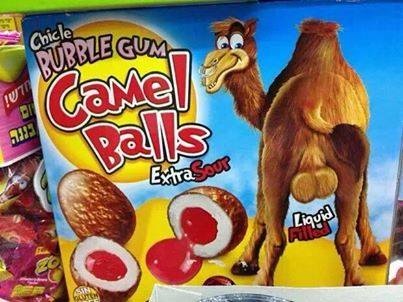Yummy camel gum