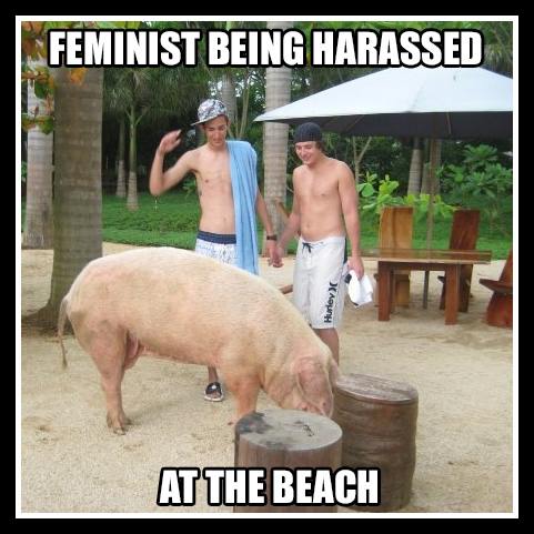 Feminist at the beach