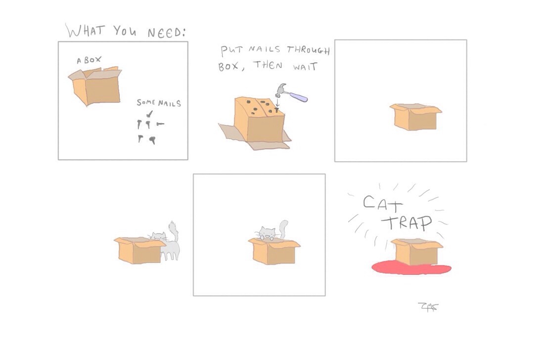 cat trap