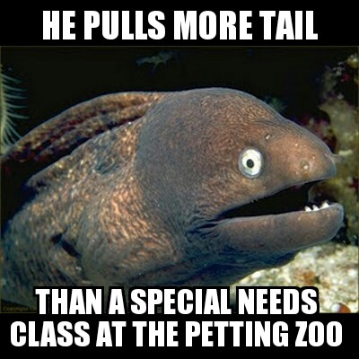 pulling more tail than...
