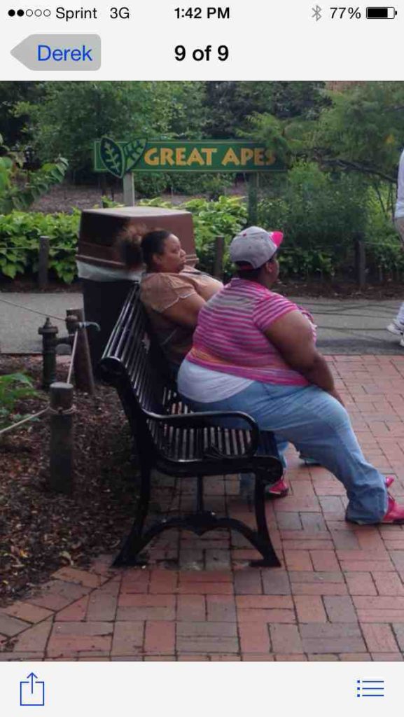 black people in front of sign at zoo