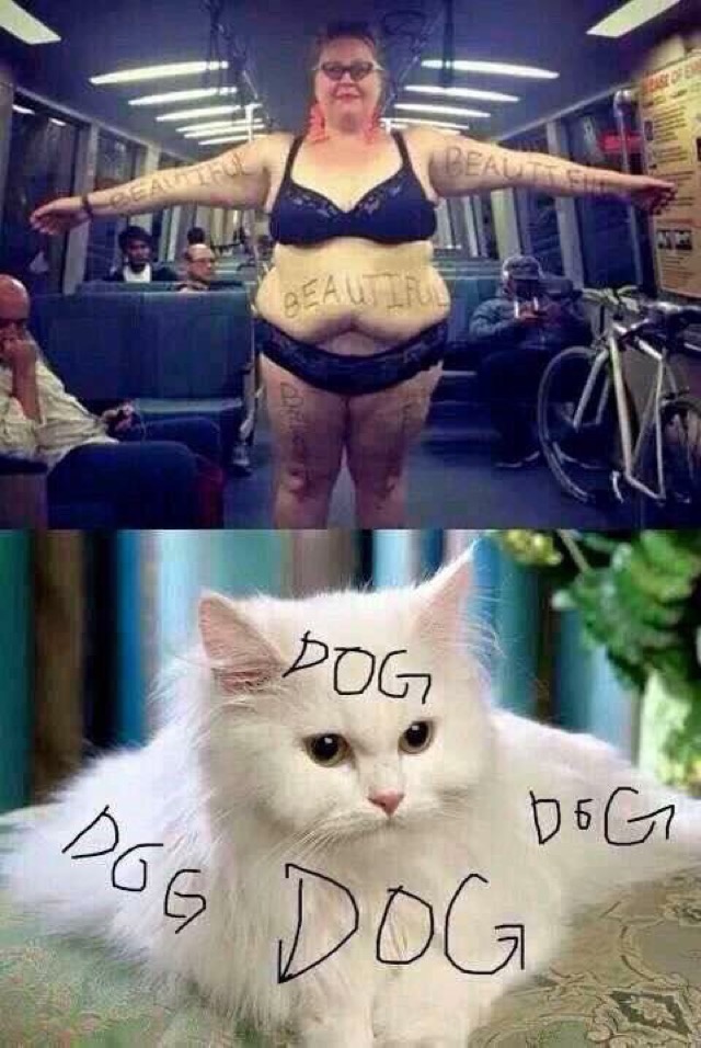 fat joke cat with dog on it next to fat woman with beautiful 
